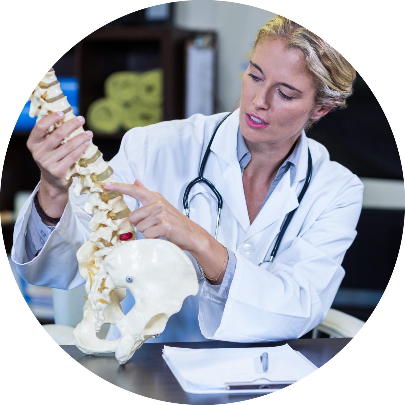 chiropractic services